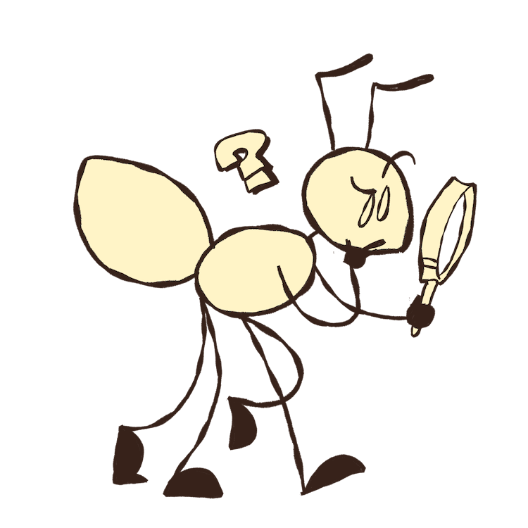 Ant learning